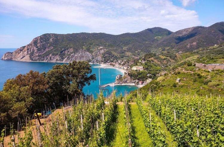 Casa Del Pescatore 몬테로소 알 마레 외부 사진